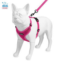 Voyager Step-in Lock Dog Harness w Reflective Dog Leash Combo Set with Neoprene Handle 5ft - Supports Small, Medium and Large Breed Puppies/Cats by Best Pet Supplies - Fuchsia, XS