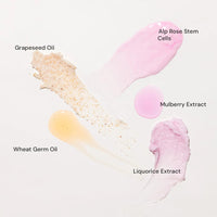 Raaga Professional Stem Cells Infused Fairness 6 Step Facial Kit | Brightening Power of Mulberry and Alp Rose Stem Cells | Reduces Dark Spots | All Skin Types (61 gm)