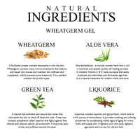 Khadi Organique Aloe Vera Gel with Wheatgerm, Green Tea & Licorice | 100% Natural for Skin, Face & Hair | Aloe Vera for Acne Free, Glowing & Radiant Skin | Best for Women & Men - 200gm