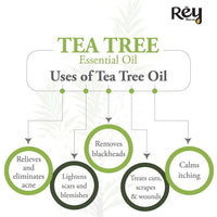 Rey Naturals® tea tree oil & Rosemary essential oils - Pure 100% Natural for Healthy Skin, Face, and Hair (15 ml + 15 ml)