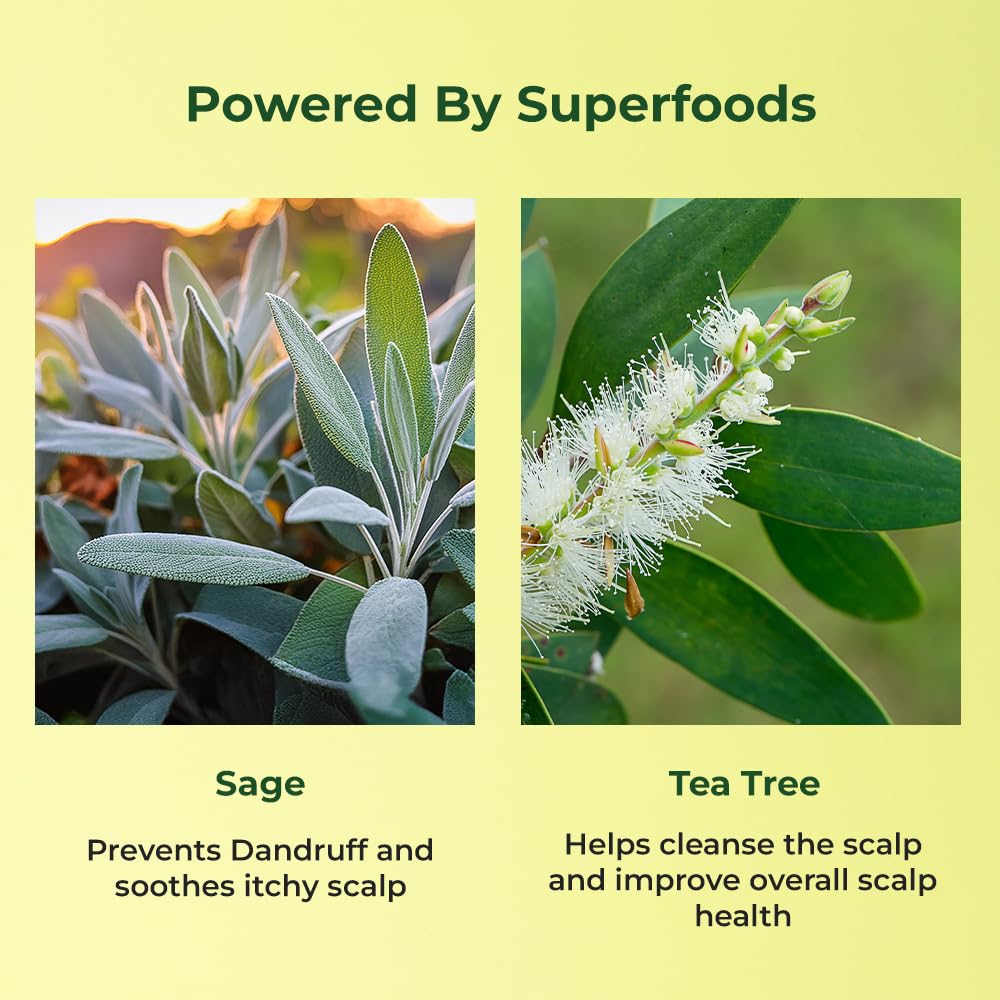 Naturali Anti-Dandruff Scalp Serum With Sage, Tea Tree Oil & Salicylic Acid | Reduces Dandruff Flakes | Prevents Recurrence of Dandruff | Soothes Itchy Scalp | Paraben-free | Best Anti-dandruff Serum | 50ml