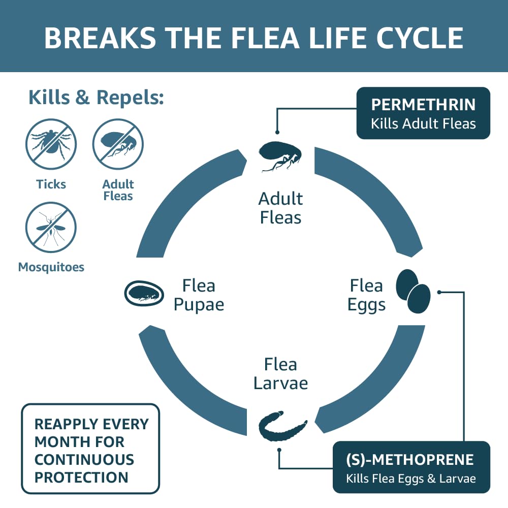 Basics Flea, Tick & Mosquito Topical for X-Large Dog (over 55 pounds), 4 Count