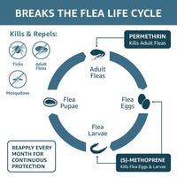 Basics Flea, Tick & Mosquito Topical for X-Large Dog (over 55 pounds), 4 Count