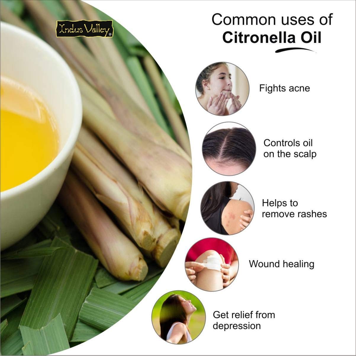 Indus Valley 100% Pure Natural & Organic, Undiluted citronella Essential Oil with Glass Dropper for Skin, Hair Care -15ml