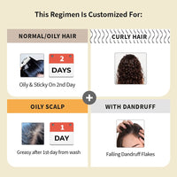 Vedix Customized Ayurvedic Hair Fall Control Regimen For Normal/Oily Hair-Oily Scalp & Curly Hair -3 Product Kit-Anti Hair Fall Oil+Anti-Hairfall Shampoo Serum X Dandruff Care, 540 Grams