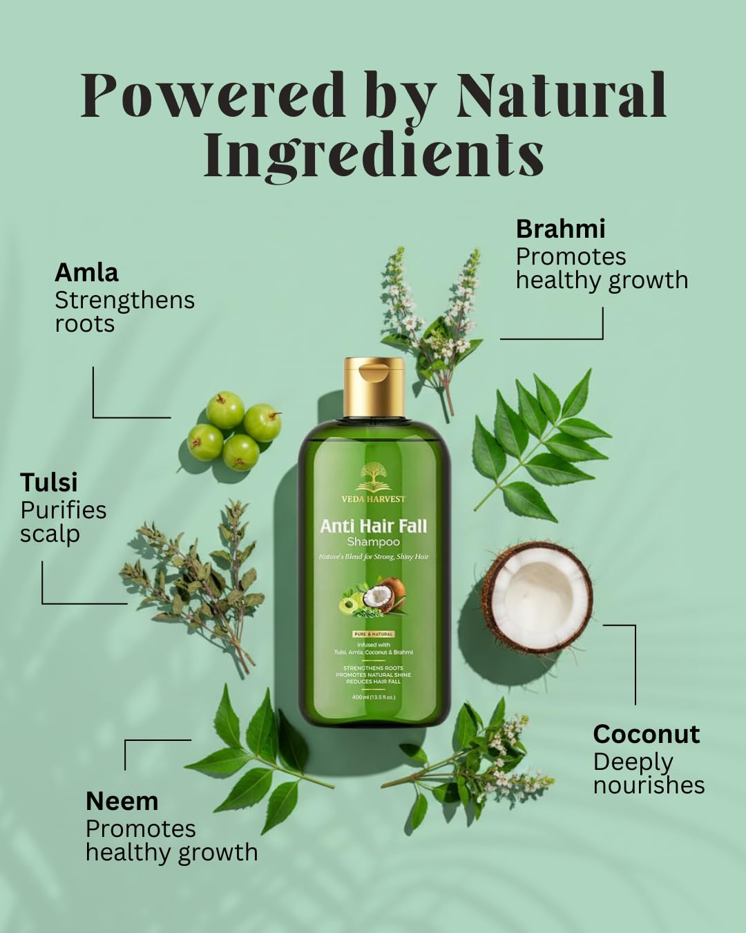Veda Harvest Shampoo 400ml for Reduce Dandruff & Helpful for Hair Growth,Ayurvedic Shampoo to Restore Hair Shine & Strength