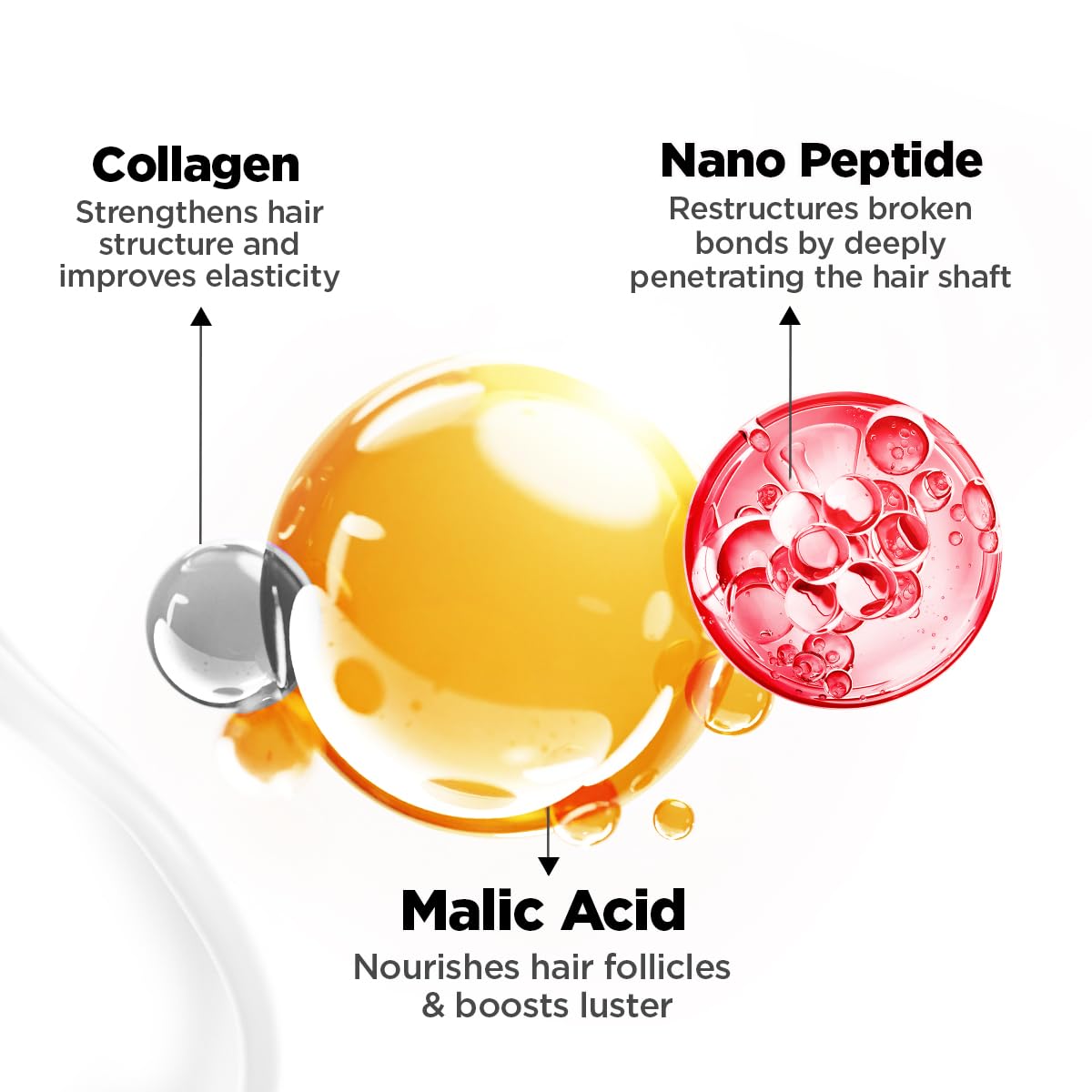 BBLUNT BBLUNT Bond Repair Shampoo - 300ml | Repairs damaged hair by 89% in just 1 use* | Powered with MaliPeptide BondTech | Recommended By Hair Experts | For Men & Women | SLS & Paraben Free