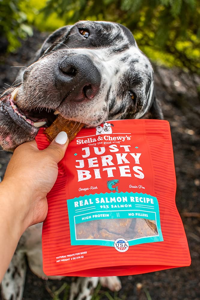 Stella & Chewy's  Just Jerky Bites Real Salmon Recipe Dog Treats, 6 oz. Bag 6 Ounce (Pack of 1)