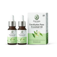 Zenaum Essences 100% Natural Eucalyptus Therapeutic Grade Essential Oil | 30ml (Pack of 2) | Respiratory Relief, Muscle Soothing & Aromatherapy | Sourced from Yunan, India | GMP, ISO & IFRA Certified