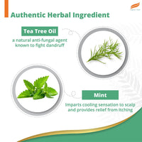 Himalaya Anti-Dandruff Cooling Mint Shampoo | Fights Dandruff | Soothes Scalp & Revives Hair | Enriched with Tea Tree Oil & Mint | For Women & Men | 200ml