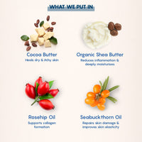 The Moms Co. Natural Body Butter (100 g) for pregnant belly, Dry Skin and Itchy Skin with Shea and Cocoa Butter