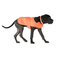 Carhartt Firm Duck Insulated Dog Chore Coat Hunter Orange/Brass LG Large