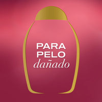 OGX Strength & Length + Keratin Oil Fortifying Anti-Frizz Shampoo for Damaged Hair & Split Ends, with Keratin Proteins & Argan Oil, Paraben-Free, Sulfate-Free Surfactants, 385ml