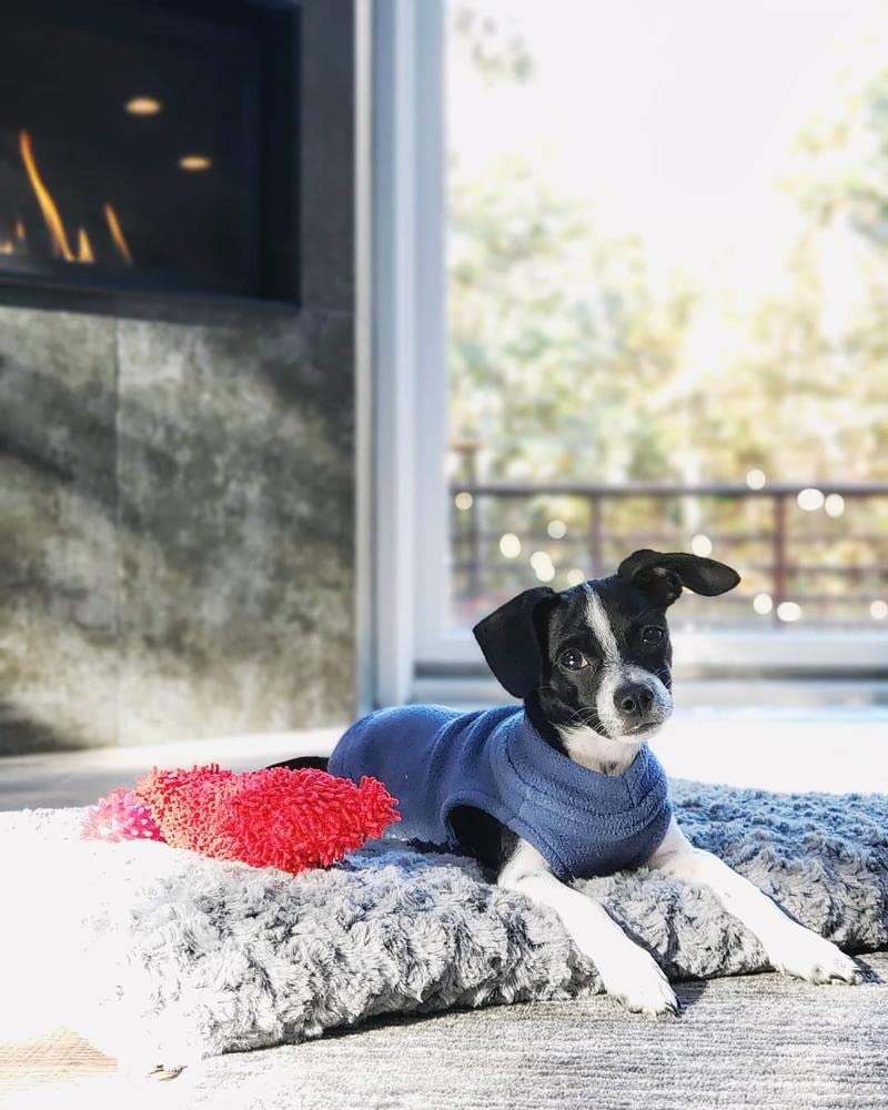 Gooby Stretch Fleece Vest Dog Sweater - Indigo Blue, X-Large - Warm Pullover Fleece Dog Jacket - Winter Dog Clothes for Small Dogs Boy - Dog Sweaters for Small Dogs to Dog Sweaters for Large Dogs X-Large Length (16.5")