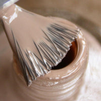 DeBelle Gel Nail Polish Coco Bean (Light Brown Nail Paint)|Non UV - Gel Finish |Chip Resistant | Seaweed Enriched Formula| Long Lasting|Cruelty and Toxic Free| 8ml Glossy Finish