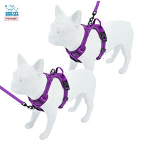 Voyager Dog Harness Dual Leash Attachment No-Pull Control Adjustable Soft but Strong Pet Harness for Medium and Large Dogs with 3M Reflective Technology - Harness Leash Set (Purple Lattice), M M (Chest: 20 - 25