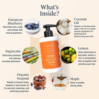 Arata Natural Oil Control Cleansing Shampoo With Maple, Sugarcane & Blueberry Extracts For Women & Men | All-Natural, Vegan & Cruelty-Free, 300 ML