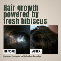 Hibiscus Monkey HM Love Scalp & Hair Oil | Promotes Hair Growth, Reduces Hair Fall | Scalp care | Anti Frizz | Real Hibiscus Flowers, Coconut Milk Oil | Natural | No Mineral Oil, Chemical-Free | 100mL