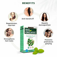 INDUS VALLEY 100% Organic Brahmi Powder | Bacopa monnieri for Hair Cleanser & Hair Care - (100g)