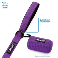 Best Pet Supplies 2-Pack Dog Poop Bag Holder Leash Attachment, Color, Reusable Mesh Dispenser Pouch for Travel, Walking, Park, and Outdoor Use, Soft and Durable with Clip-On - Mesh Purple