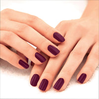 Lakmé 9 To 5 Primer + Glossy Finish Nail Colour & 9To5 Primer + Glossy Finish Nail Colour Combo,12 ML