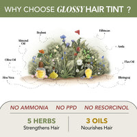 Paradyes No Bleach Berry Plum Glossy Hair Tint - Ammonia-Free for Natural Black Hair, Visible Results - Includes Anti-Fade Conditioner for Long-Lasting Shine, 1 Count