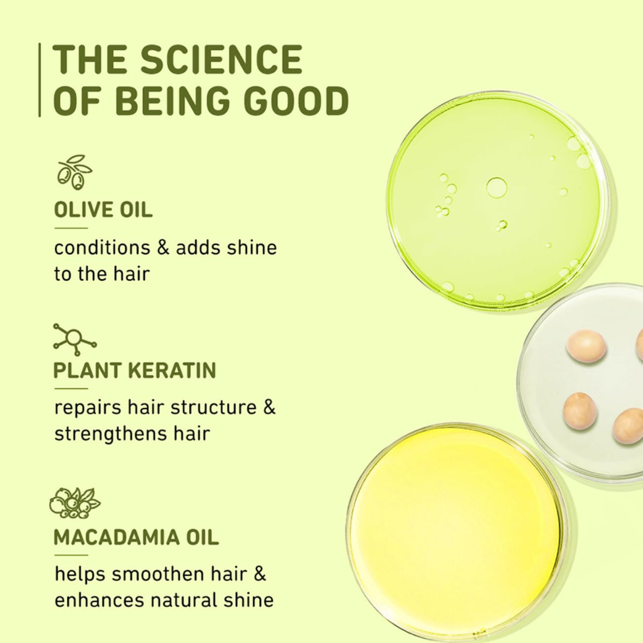 Plum Olive Fresh Hair Mask For Damaged Hair, With Olive Oil, Macadamia Oil And Shea Butter - Hair Spa Cream For Women & Men | 80 Gm, 1 Count