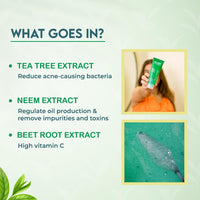 Jovees Herbal Tea Tree Face Wash for Oily & Sensitive Skin | Paraben & Alcohol-Free, Controls Oil, Prevents Breakouts, Remove Dead Skin | Gentle Cleanser For All Skin Types - 120ml (Pack of 3)