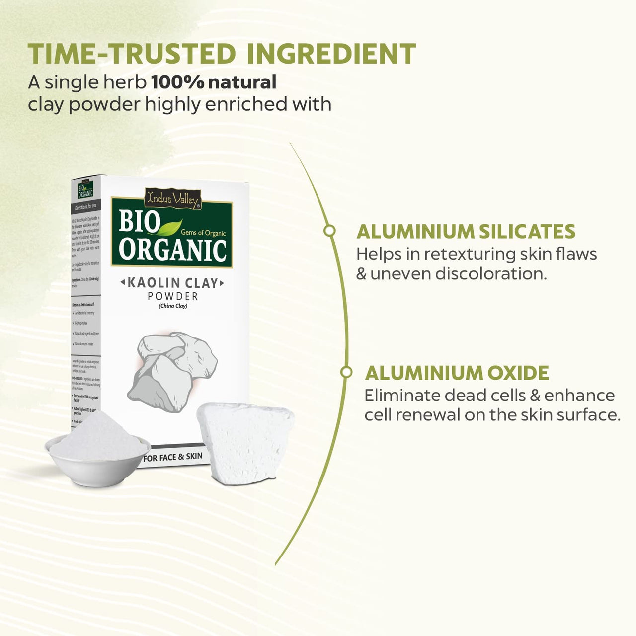 INDUS VALLEY Bio Organic Kaolin Powder | China clay For Skin Face Mask - (100g+100g =200g)