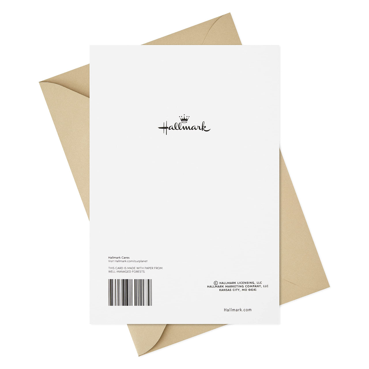 Hallmark Sympathy Card (Remembered with Love)