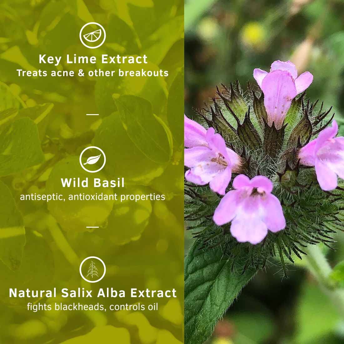 Ustraa Face Wash - Oily skin - 200g - Specially formulated for Oily Skin | With Key lime & Basil extract | Remove excess Oil & Dirt | Sulphate and Paraben Free