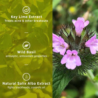 Ustraa Face Wash - Oily skin - 200g - Specially formulated for Oily Skin | With Key lime & Basil extract | Remove excess Oil & Dirt | Sulphate and Paraben Free