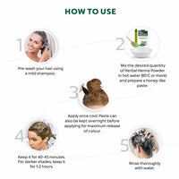 INDUS VALLEY Bio Organic Herbal Henna Powder, 100g*4=400g - Green