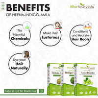 Attar Ayurveda Henna Leaves Powder, Indigo Leaves powder and Amla Powder Combo (650 Grams)