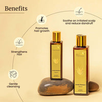 Mellow Herbals Aloe Vera Shampoo | Hydration & Damage Repair | Amla, Reetha, Shikakai & Bhringraj | Sulfate & Paraben-Free | Ayurvedic Hair Care | 100ml