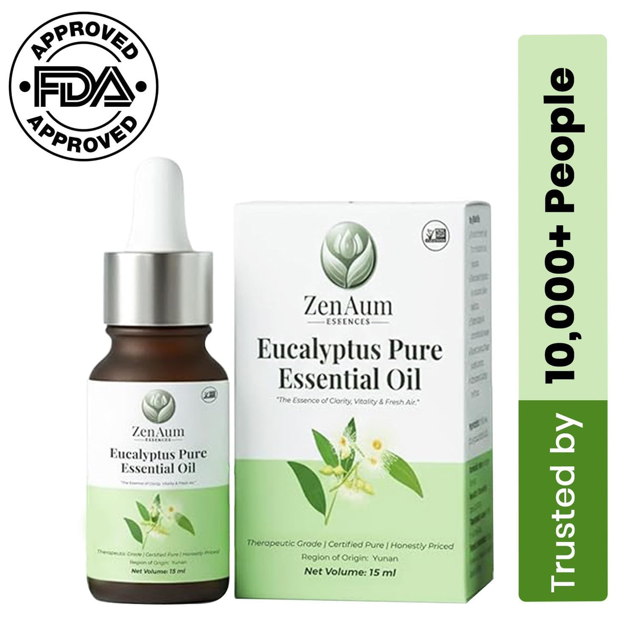 Zenaum Essences 100% Natural Eucalyptus Therapeutic Grade Essential Oil | 30ml (Pack of 2) | Respiratory Relief, Muscle Soothing & Aromatherapy | Sourced from Yunan, India | GMP, ISO & IFRA Certified