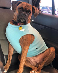 Gooby Stretch Fleece Vest Dog Sweater - Mint, 6X-Large - Warm Pullover Fleece Dog Jacket - Winter Dog Clothes for Small Dogs Boy or Girl - Dog Sweaters for Small Dogs to Dog Sweaters for Large Dogs