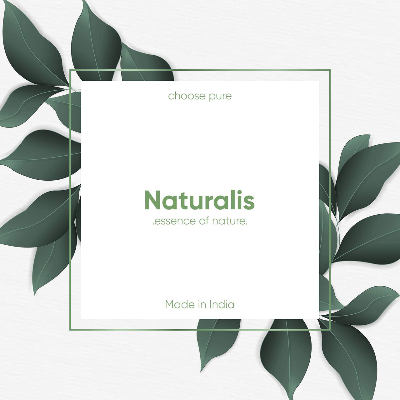 Naturalis Tea Tree Oil - Tea Tree Oil for Acne, Pimples and Scar - Pure and No Dilution Tea Tree Hair Oil - No Solvents - Ideal for Aromatherapy - 10ml