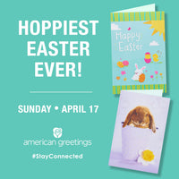 American Greetings Easter Cards with Envelopes, Easter Eggs (6-Count)