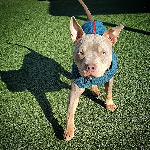 Gooby Zip Up Fleece Dog Sweater - Fuchsia Wash, 2X-Large - Warm Pullover Fleece Step-in Dog Jacket Without Ring Leash - Winter Small Dog Sweater - Dog Clothes for Small Dogs Boy and Medium Dogs 2X-Large chest (~25.5")