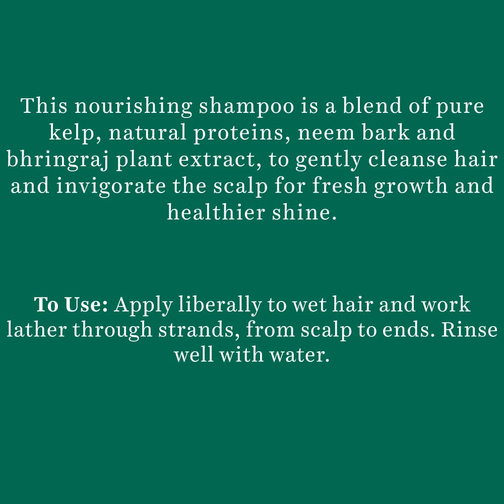 Biotique Ocean Kelp Anti Hairfall Shampoo | Intensive Hair Growth Therapy| Anti Hairfall Shampoo that Maintains Shine |100% Botanical Extracts | Suitable for All Hair Types |340ml