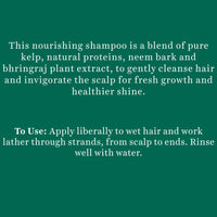 Biotique Ocean Kelp Anti Hairfall Shampoo | Intensive Hair Growth Therapy| Anti Hairfall Shampoo that Maintains Shine |100% Botanical Extracts | Suitable for All Hair Types |340ml