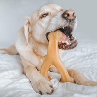 Benebone Wishbone Durable Dog Chew Toy for Aggressive Chewers, Real Chicken, Made in USA, Large