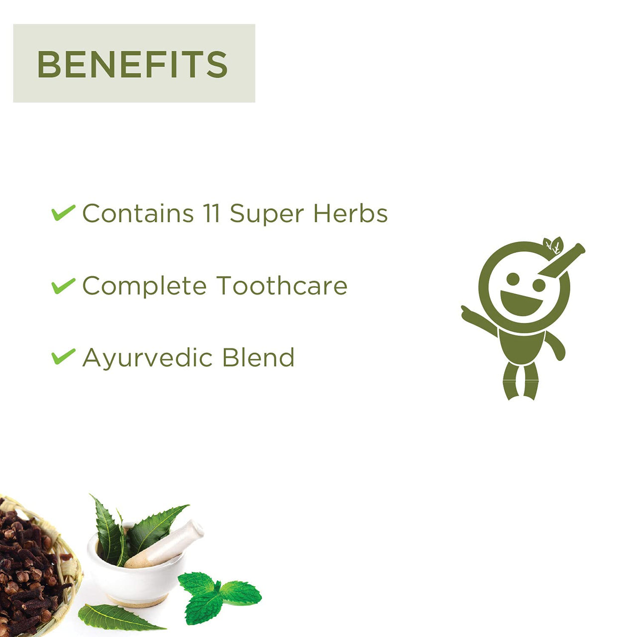 Vitro Fluoride Free Toothpaste with Meswak, Vajra danti and Neem Extract | Herbal toothpaste with extracts of 12 herbs for complete toothcare | Helps with Bad breath and Gum Problems