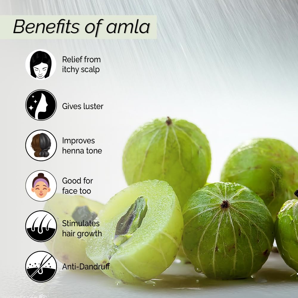 PYOURA Healthy Scalp Hair Growth Amla Spray Serum, Non-Sticky Hair Mist for Dry Itchy Scalp, Dandruff & Heat Protection, Helps Improve Henna Tone, Natural Ayurvedic Herbal Extract of Fresh Amla, 100ml