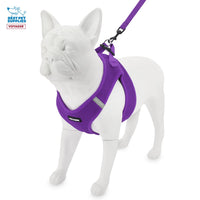 Voyager Step-in Air All Weather Mesh Harness and Reflective Dog 5 ft Leash Combo with Neoprene Handle, for Small, Medium and Large Breed Puppies by Best Pet Supplies - Set (Purple), XL