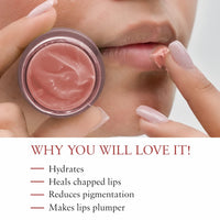 Just Herbs Ayurvedic Rose Lip Mask, Balm For Dark, Dry & Pigmented Lips - Vegan Lip Mask For 15gm & Just Herbs Tinted Lip Balm 4 g (Cherry) Combo