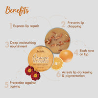 Nat Habit Orange Marigold Lip Balm Fresh Infused Lip Butter With Desi Ghee & Raw Honey For Lip Pigmentation, Lightening, Lip Repair, Dark And Chapped Lips (10gm)