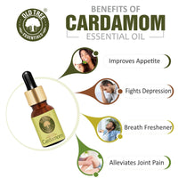 Old Tree Cardamom (Elaichi) Essential Oil (15ml) - For Skin, Hair Care, Fragrance, Soap Making, and Aromatherapy - Pure, Natural and Undiluted Perfume Oil with Glass Dropper