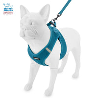 Voyager Step-in Air Cat Harness - All Weather Mesh Step in Vest Harness for Small and Medium Cats by Best Pet Supplies - Set (Turquoise), XXS